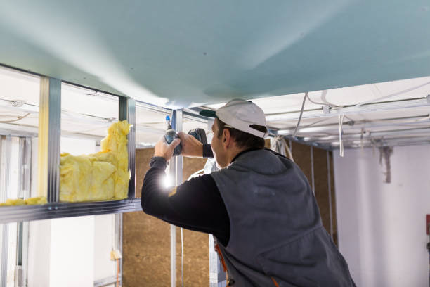 Best Spray Foam Insulation  in South Ack, NY